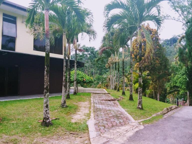 Serene Resort & Training Centre Bukit Tinggi Esterno foto